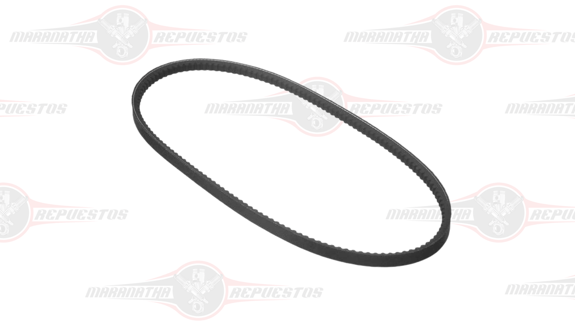 CORREA REPARTICION NISSAN