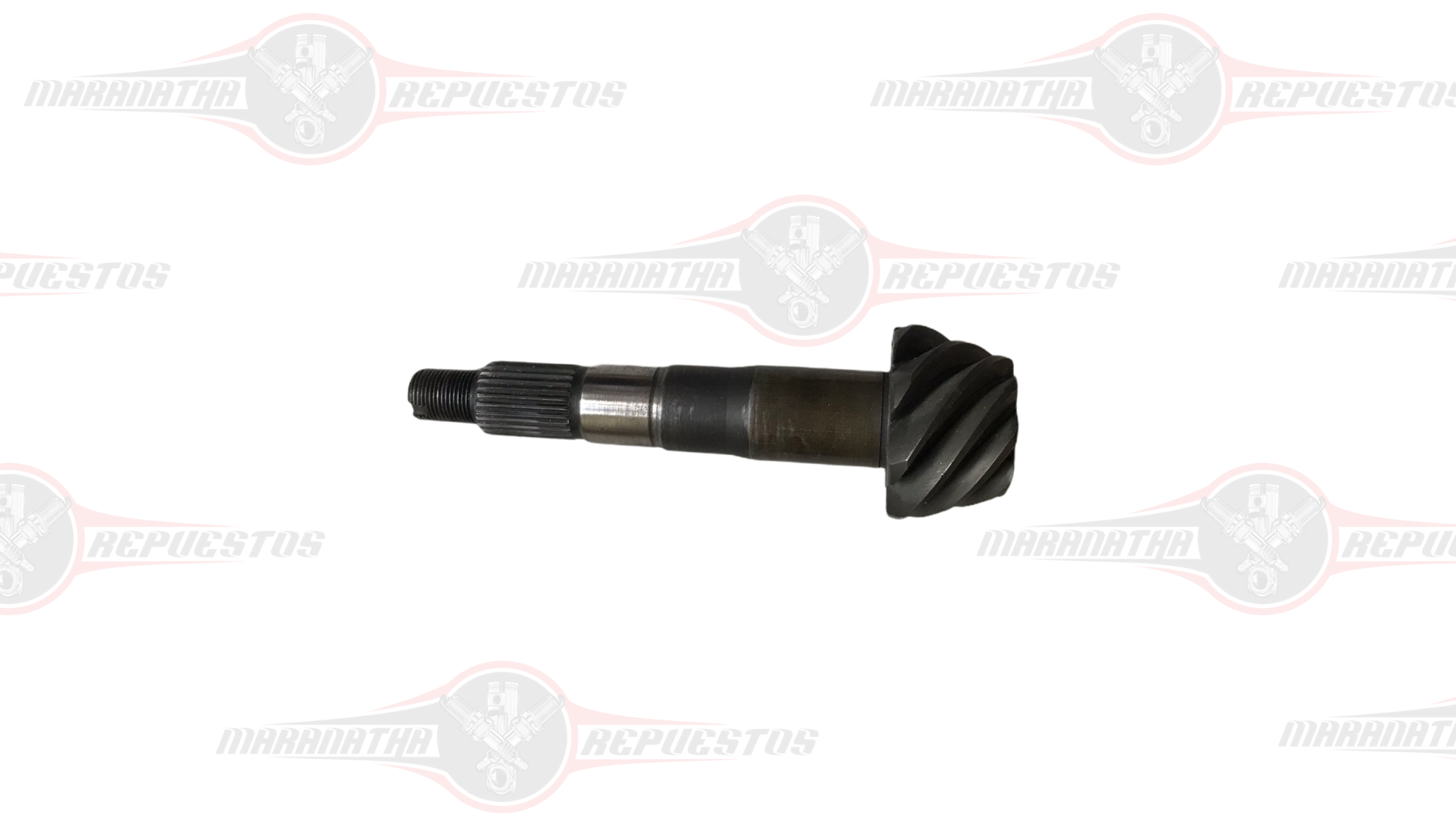 CORONA Y SPEED TOYOTA